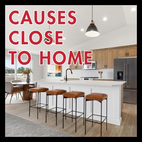 Causes Close to Home (2)-msqh1b0t_1ik.jpg